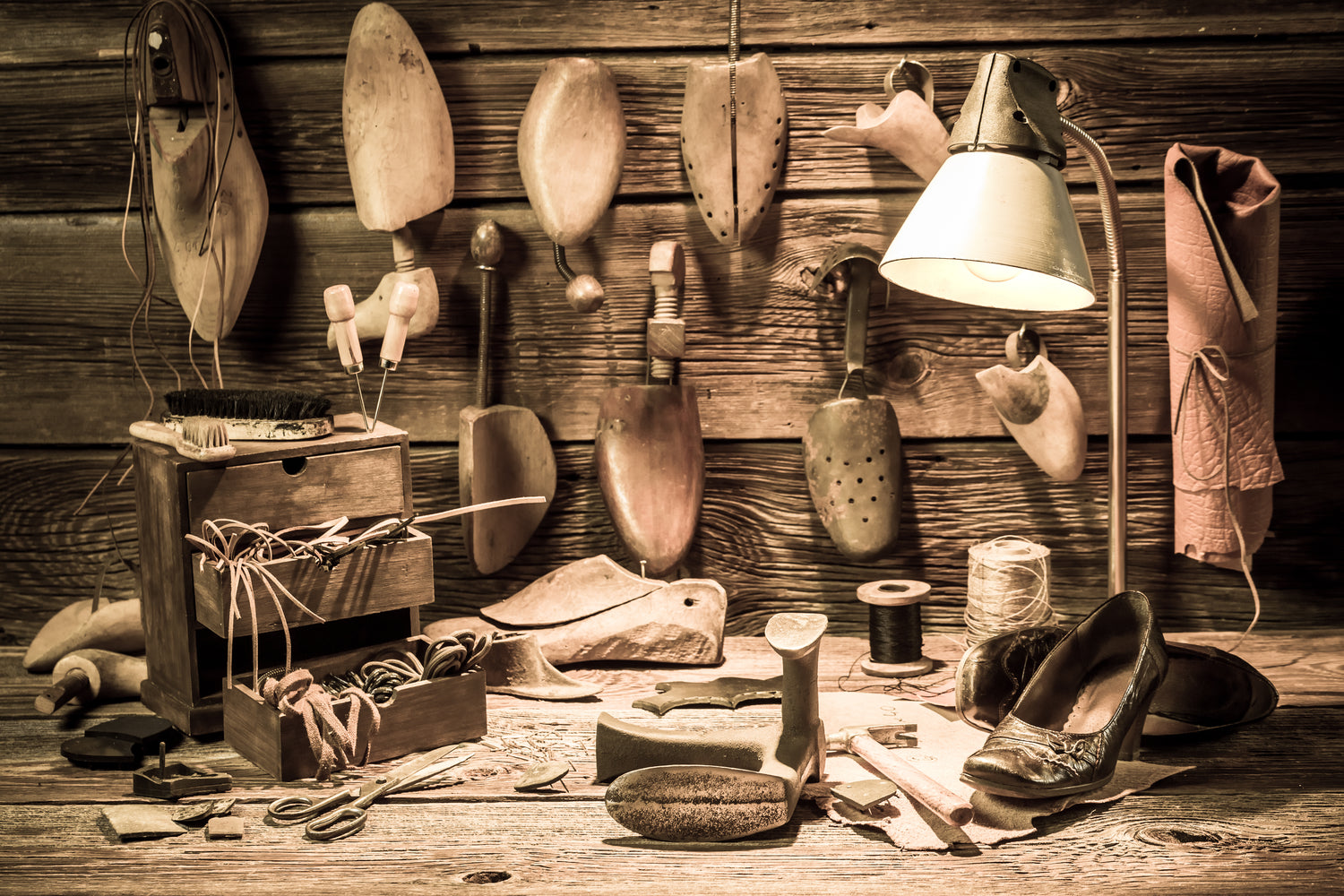 Shoe Accessories